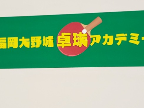 ʐ^